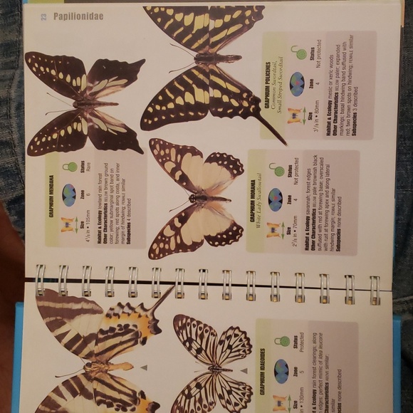 The Butterfly Handbook - Picture 3 of 4